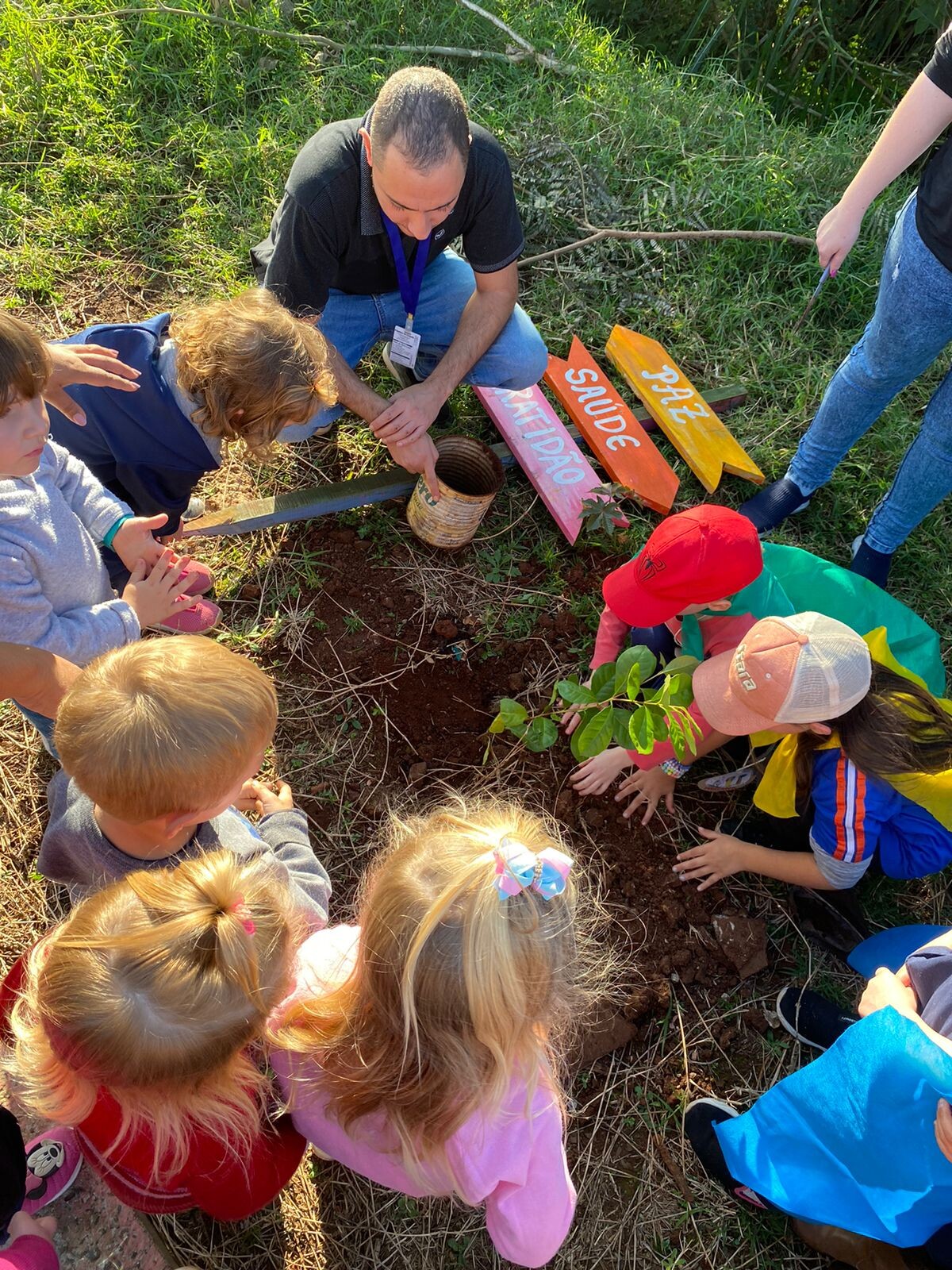 Plantio de árvores frutíferas às margens do Arroio Sutil - Bairro Progresso