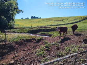 Fotos