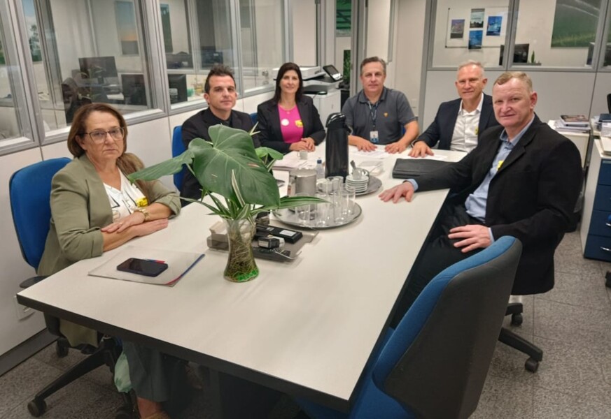 Audiência no gabinete do Senador Luiz Carlos Heinze.