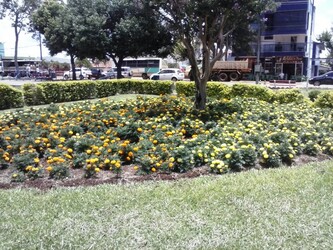 Fotos